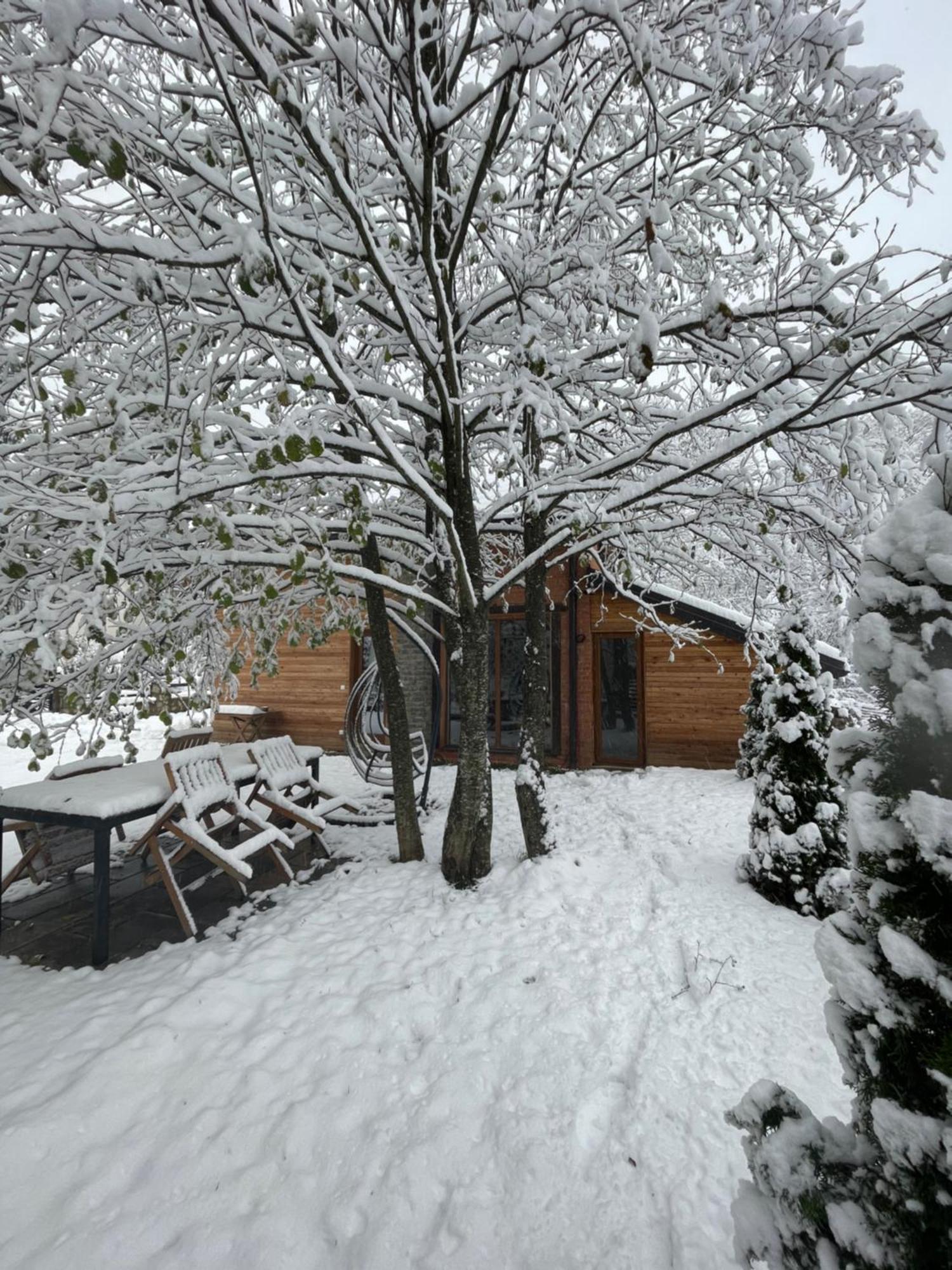 Villa Alpina Brezovice Exterior foto